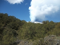 anobello-04032012 106
